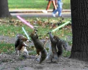 Squirrels With Light Sabers